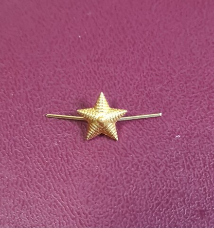 Звезда на погоны н/о рифленая малая золотая