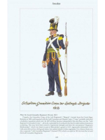 Оловянный солдатик Гренадер Лейб полка Бригада 1812 г.