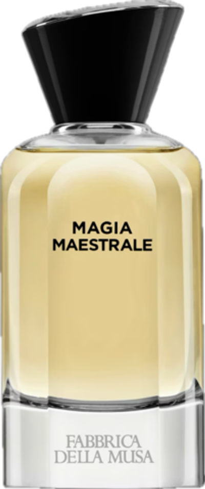Fabbrica Della Musa Magia Maestrale EDP 100 ml
