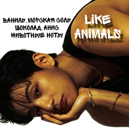BTS - "Like Animals"