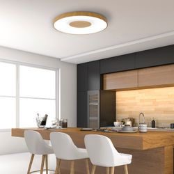 7562 Потолочный светильник COIN