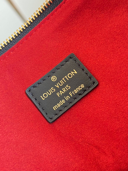 Louis Vuitton Coussin MM