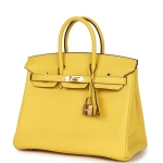 Сумка из коллекции D с золотой фурнитурой Hermès Birkin