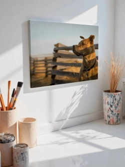 Картина на стену 40 X 50 Собака