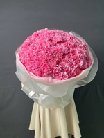 Стильный букет из 101 диантуса