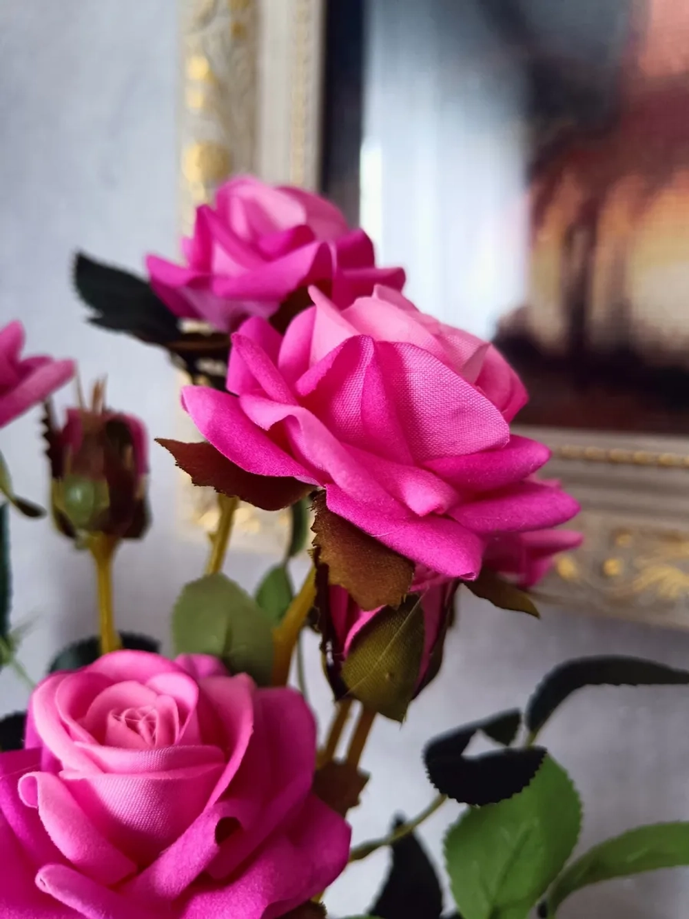 Роза кустовая бархатная, в кашпо.