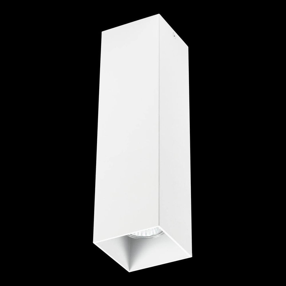 Накладной светильник Lightstar Rullo 216596