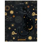 Дневник 5-11 класс 48 л., твердый, BRAUBERG, выборочный лак, с подсказом, "Astro Cat", 106415