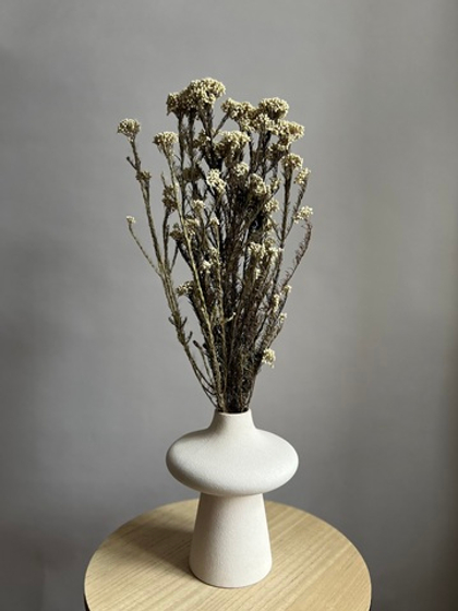 Озотамнус стабилизированный натуральный