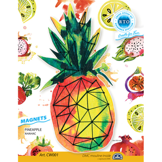 "Магнит.Ананас"-CW001  вышивка