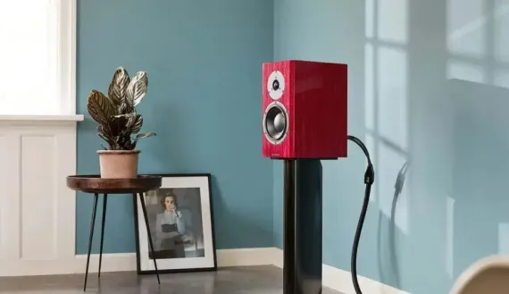 Dynaudio Special Forty Black Vine High Gloss