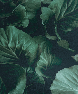 Коллекция FRAME 19