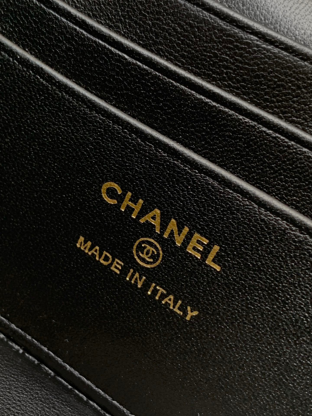 Chanel Bag (2 variants)