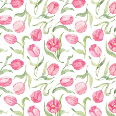 Тюльпаны на белом