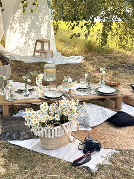 Daisy Picnic