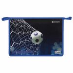 Папка для труда BRAUBERG А4, 2 отделения, молния сверху, органайзер, "Goal", 270154