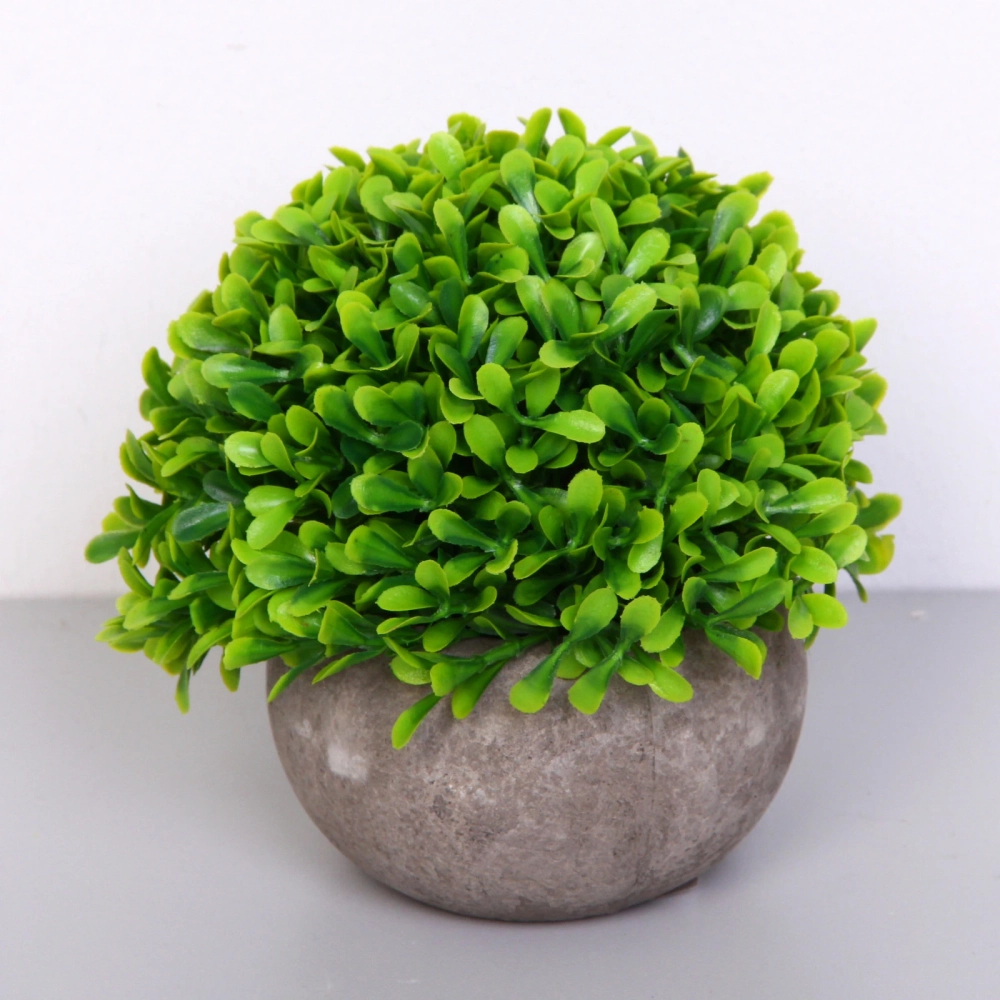 Цветочная композиция «Green garden» 10*12см в горшке, зелень