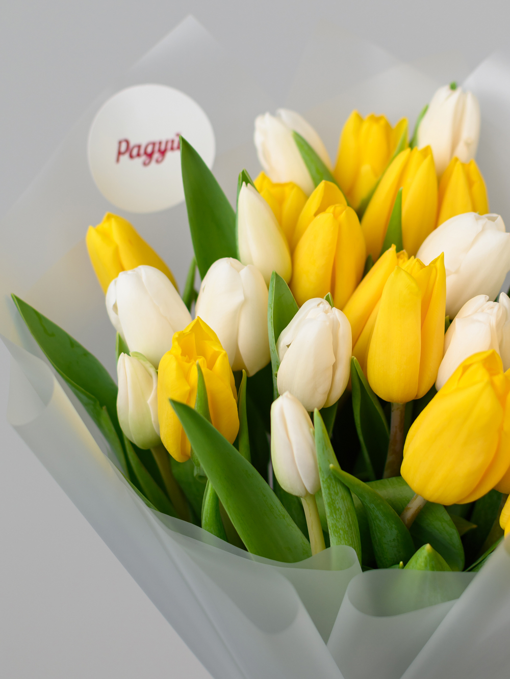 Тюльпаны микс