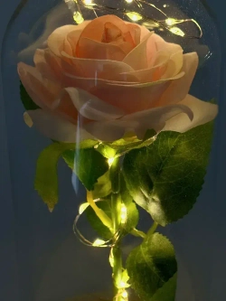 Роза вечная в банке, ночник светильник, подарок на 14 февраля и 8 марта