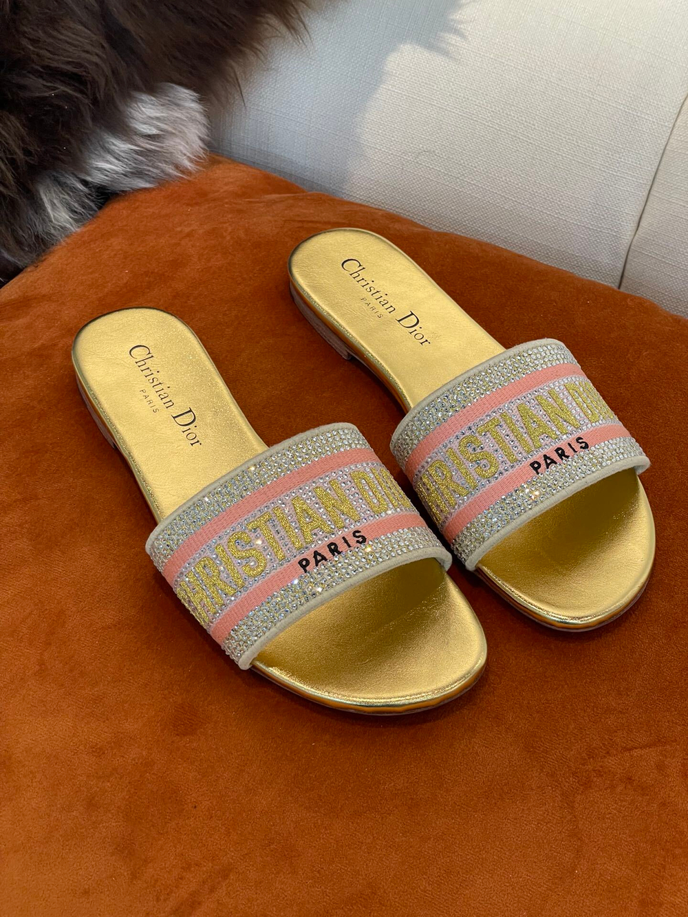 Christian Dior Dway Slide