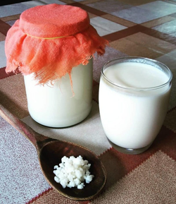 Закваска для кефира из Тибетского молочного гриба на 5 л, 5 г