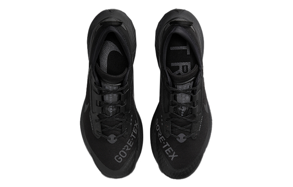 Кроссовки Nike Pegasus Trail 3 Gore-Tex "Black"