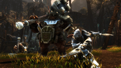 Kingdoms of Amalur: Re-Reckoning - Fatesworn (для ПК, цифровой код доступа)