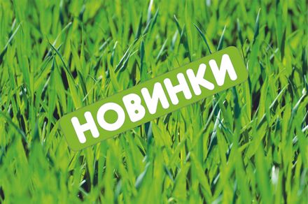 Новинки