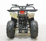 Электроквадроцикл Green Camel Гоби K51 (36V 800W R7 Цепь) ножной тормоз
