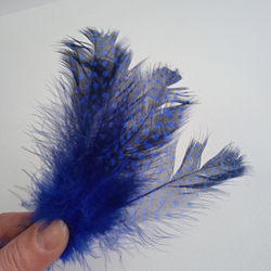 Перья цесарки синие 2 сорт 15 шт.