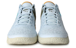 Кроссовки Nike Zoom Lebron Nxxt Gen "Blue Tint"
