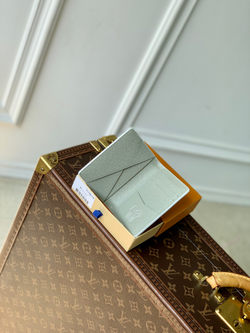 Louis Vuitton Pocket Organizer