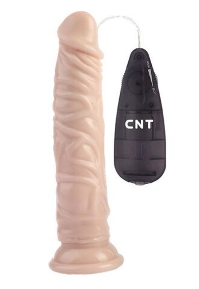 Телесный вибратор-реалистик 8.4 Stud Realistic Dildo - 21,4 см. (Цвет: телесный)