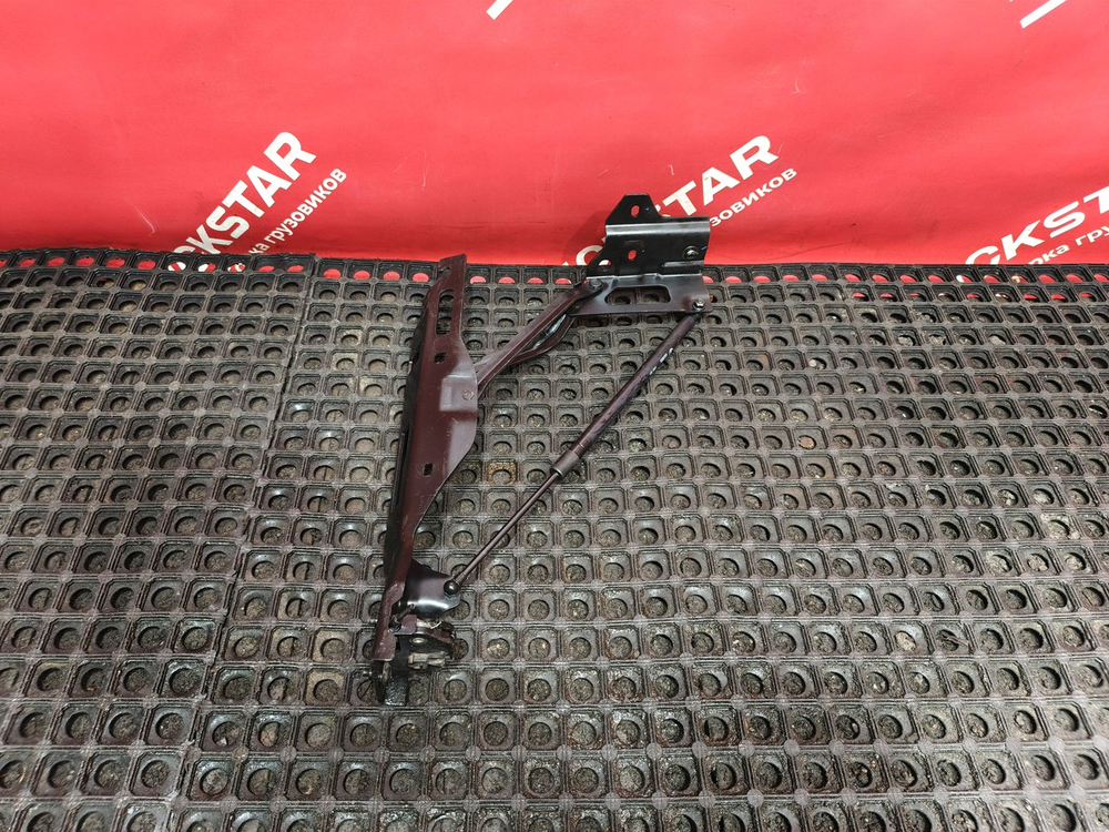 Петля капота левая в сборе