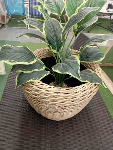 Кашпо св.лоза 12л.