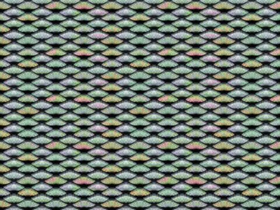 Фреска Applico, коллекция Textures