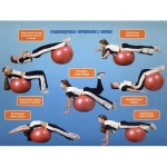 Фитбол Sportage 75 см 900гр с насосом, красный