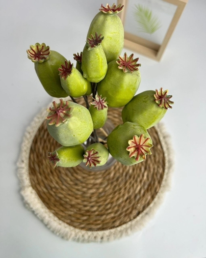 Коробочки мака / 9040