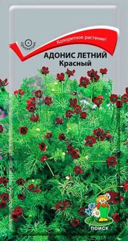 Адонис летний Красный 0,3гр /Поиск