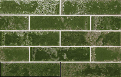 Настенная плитка PUKKA CROCODILE GREEN