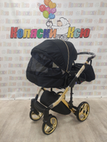 Коляска модульная Adamex Chantal SE C1