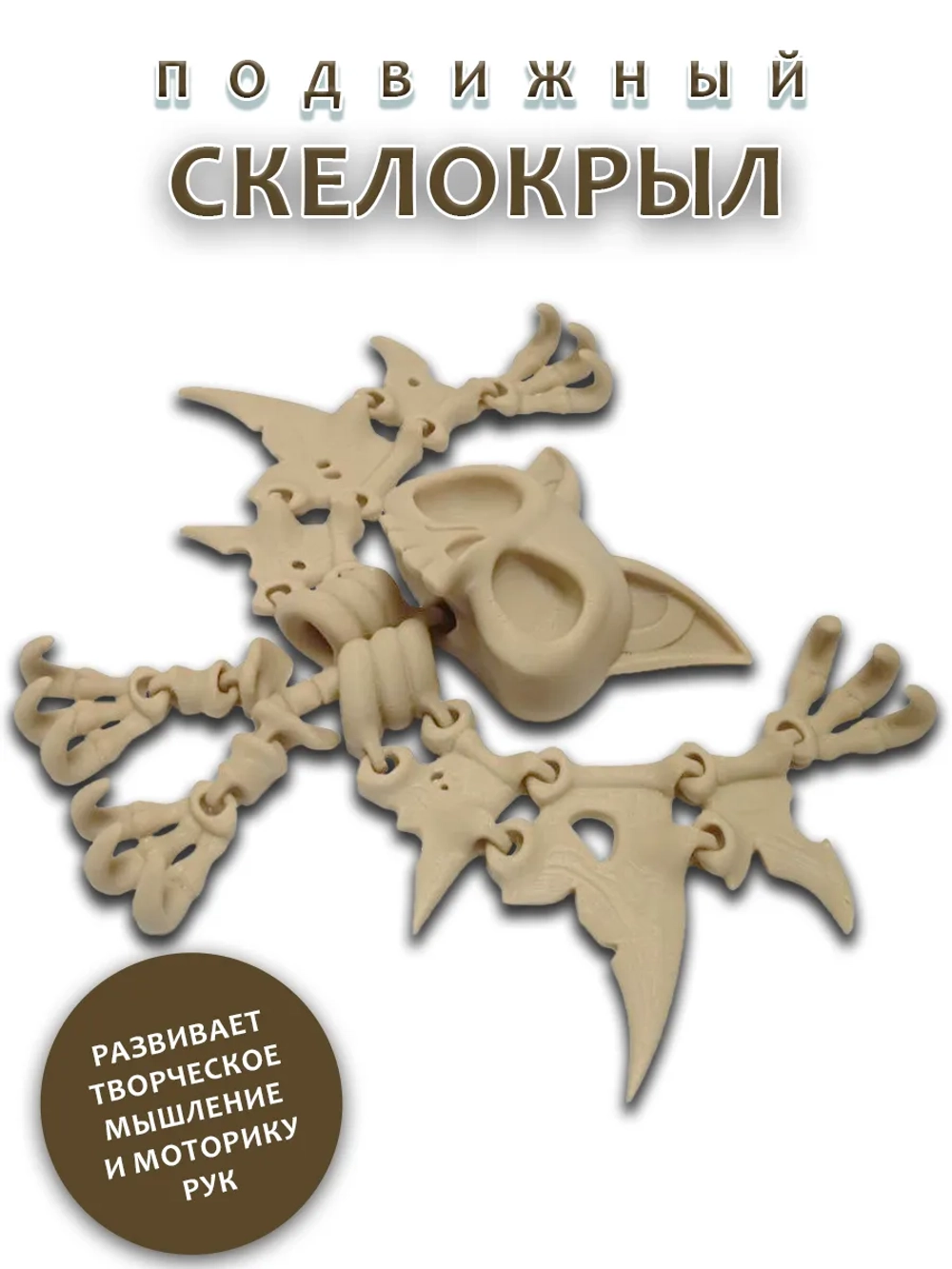 Скелет Летучая мышь