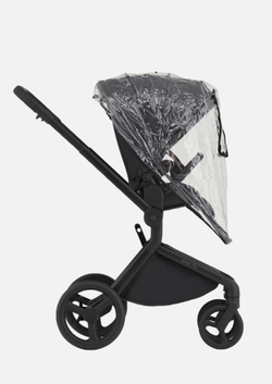 Anex Детская коляска Flo 2 в 1 Lungo