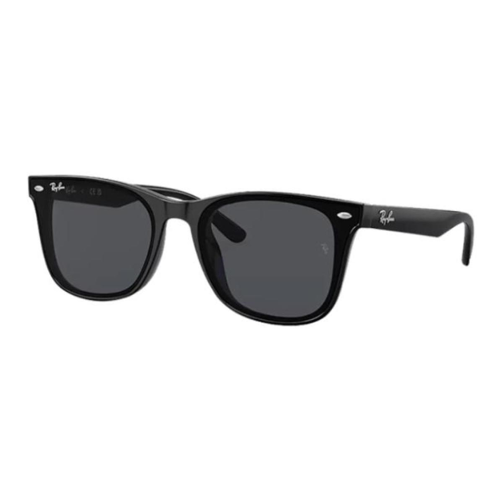 Очки RayBan Logo TR90, RB4391D/667485