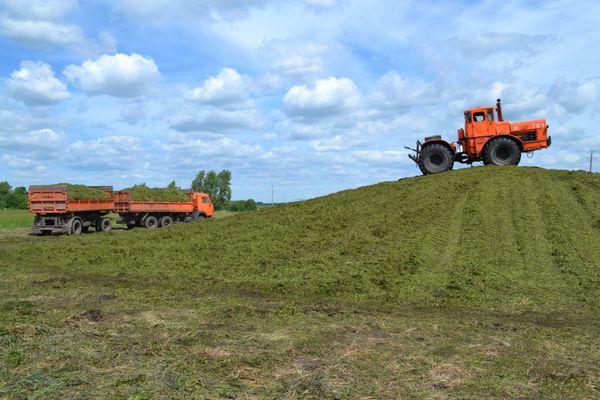 Правильный подход к заготовке кормов с пониженной влажностью с новым универсальным химическим консервантом  «Бест-Сил Хеми АС»