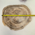 Набор из окаменелого дерева 4 предм Fossil Set NF-63077 поднос 33см*37см