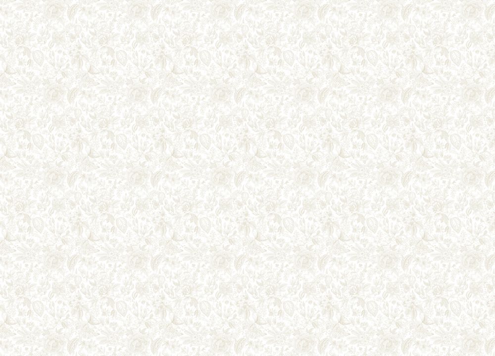 Gloockler Pompoos Provence