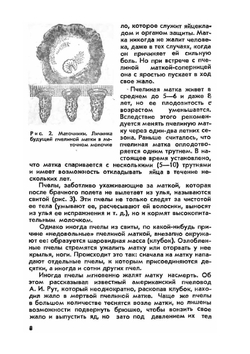 Продукты пчеловодства и их использование | Н.П. Иойриш