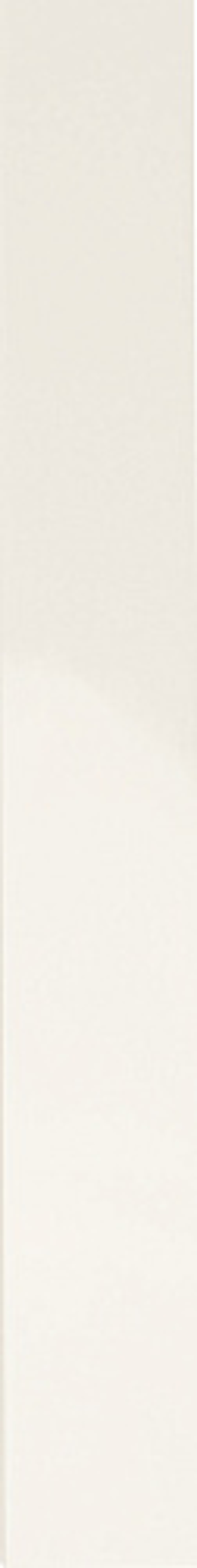 Керамическая плитка для стен WOW FACES Liso White Gloss 5х40