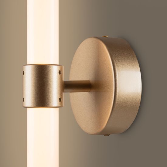 Настенный светильник (бра) Freya FR6108WL-L10G